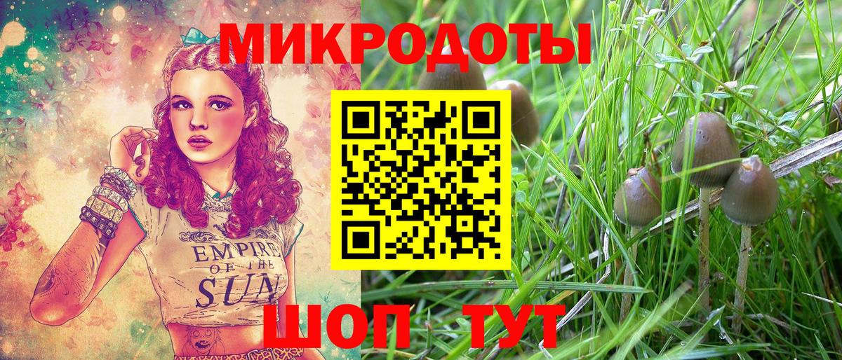 Галлюциногенные грибы Magic Shrooms  Галлюциногенные грибы Cubensis  Санкт-Петербург  Вход с VPN 